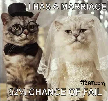 fun85..webp