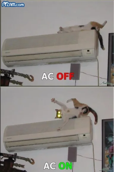acon..webp