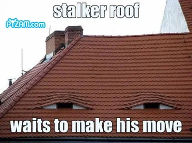 pyzamstalkerroof.webp