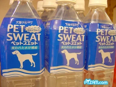 pyzampetsweat.webp