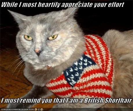 funny-pictures-cat-is-british.webp