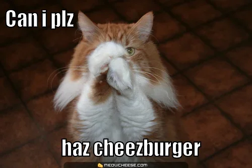 can-i-plz-haz-cheezburger.webp