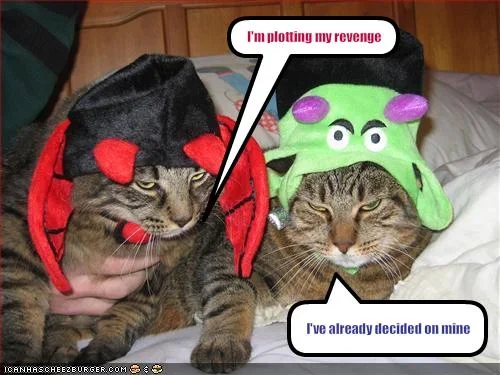 funny-pictures-your-cats-plan-to-take-revenge.webp