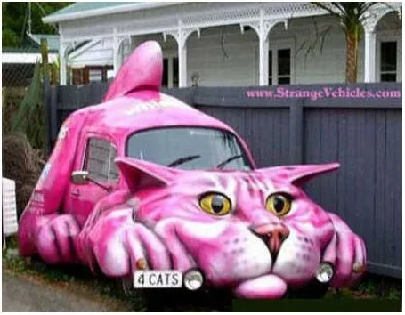 Cat Mobile.webp