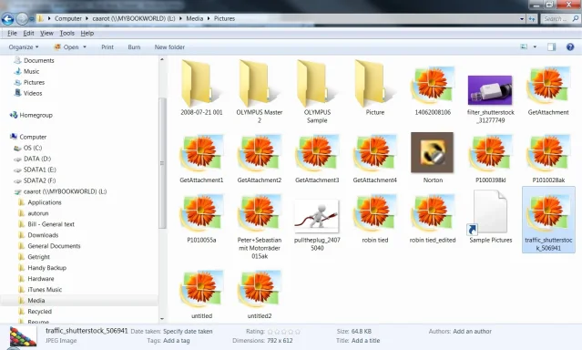 Untitled.webp