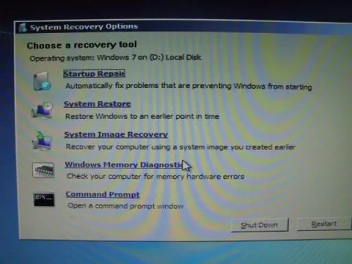 Recovery Options.webp