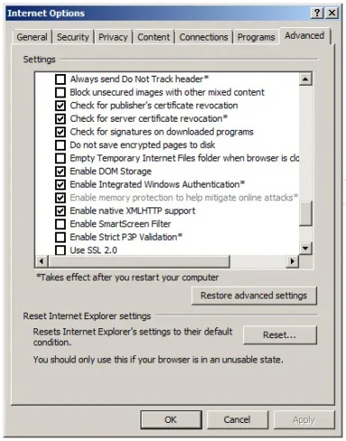 ie11 Internet Options.webp