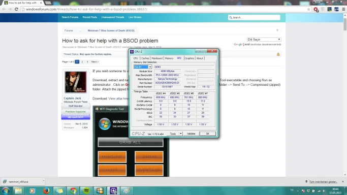 5.webp