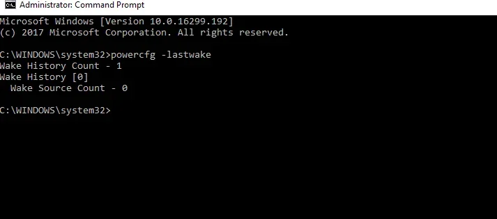 lastwake.webp