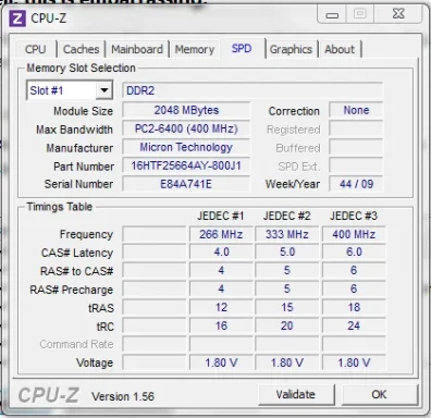 Capture1.webp