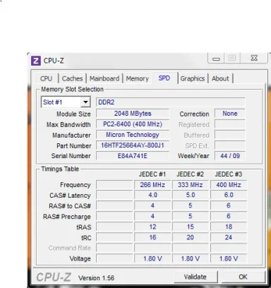 Capture.webp