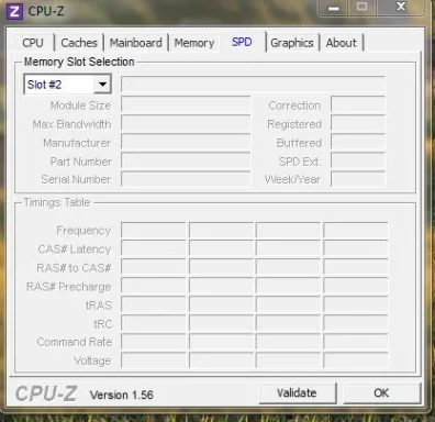 1b.webp