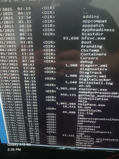 17498505360074065751066886166966.webp