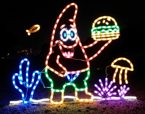 Light Show.webp