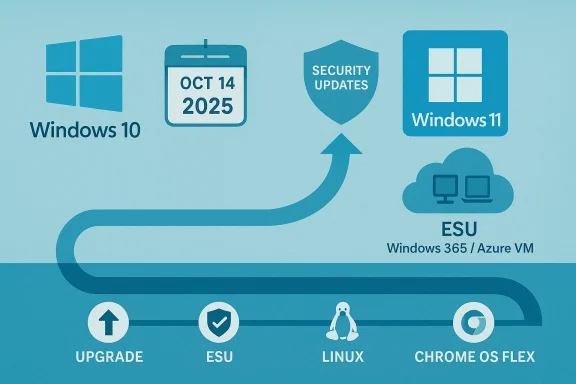 Infographic showing Windows 10/11 upgrade paths, ESU, and alternatives like Linux and Chrome OS Flex.