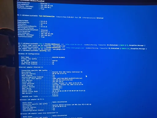 17607319912661312250250558493544.webp