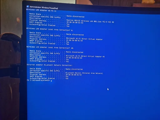 17607320270637265949916584254695.webp
