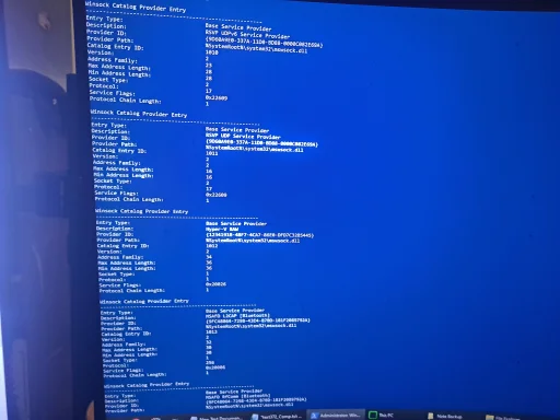 17607353998307379231383743864554.webp