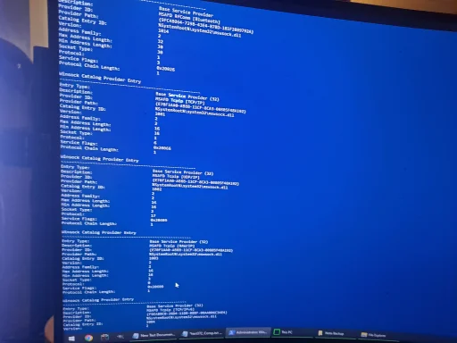 17607354327493718707558429845343.webp