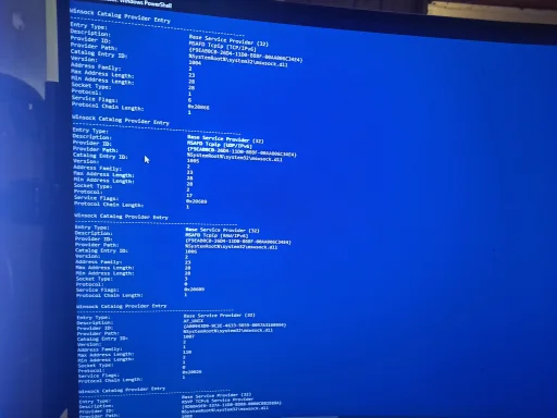 17607354586707805869074333483884.webp