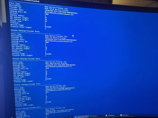17607354778852860712470073706556.webp