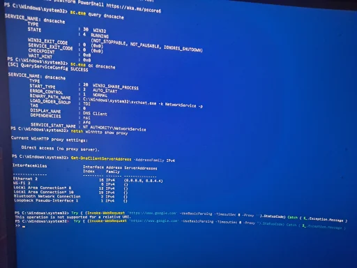 17607405575627729619484699830445.webp