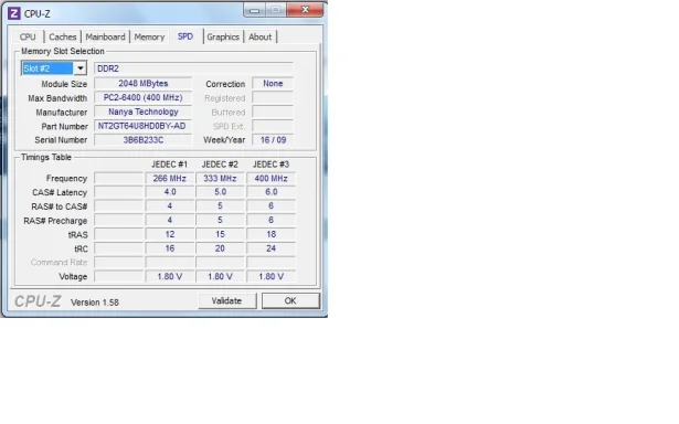 11.webp
