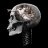 Siavash7