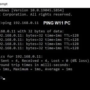 Network_SharingW10_PingtoW11.webp