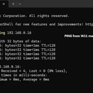 Network_SharingW11_PingtoW10.webp