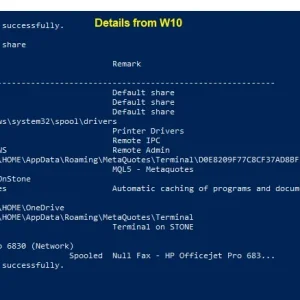 Network_SharingW10_NetShare.webp