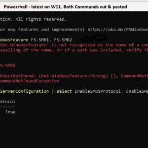 Network_SharingW11_PowerShell.webp