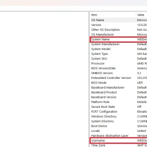 FollowingW11Rebuild_SystemInformationUserandSystem_name.webp