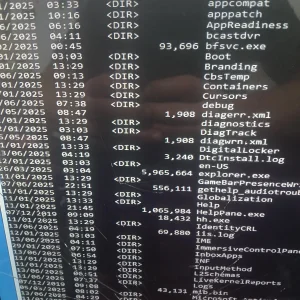 17498505360074065751066886166966.webp