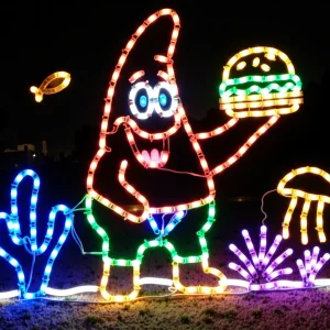 Light Show.webp