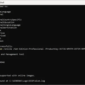 2.webp