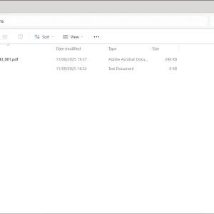 4.webp