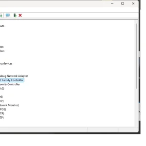 1.webp