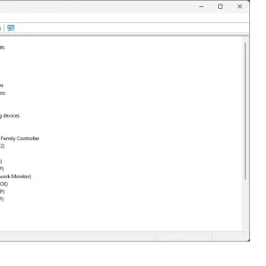 3.webp