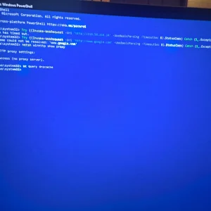 17607310483538748779331210189743.webp