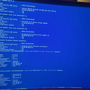 17607350510862033323361382024402.webp