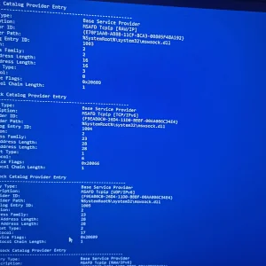 17607353174952507436203506606772.webp