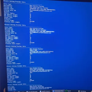 17607353998307379231383743864554.webp