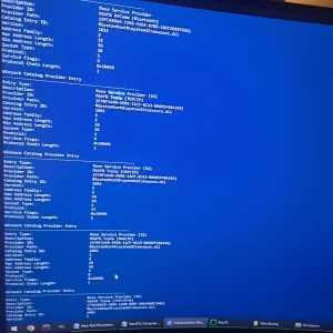 17607354327493718707558429845343.webp