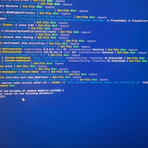 17607393510024444540469367972413.webp