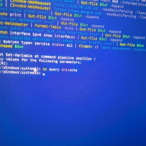 17607396210804029036125032228624.webp