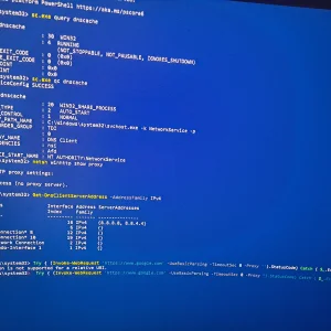 17607405575627729619484699830445.webp