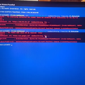 17607410318642439073338407998705.webp