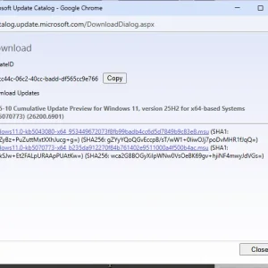Choose.webp