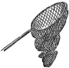 net_display.webp